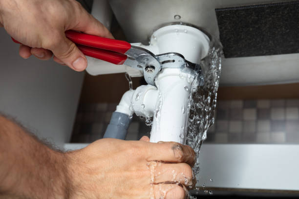 Best Professional water damage repair  in Stock Island, FL