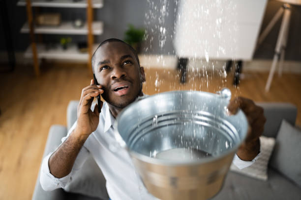 Best Flood damage cleanup  in Stock Island, FL