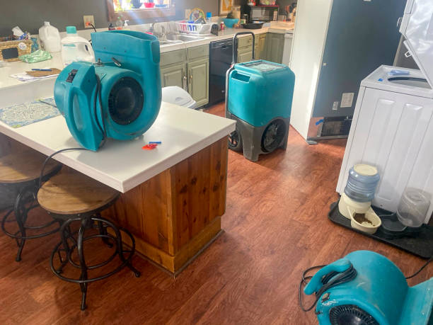 Water damage restoration process in Stock Island, FL