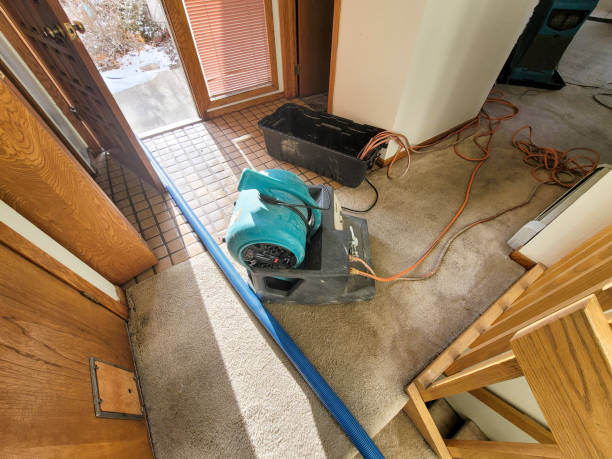 Best Flood damage cleanup  in Stock Island, FL