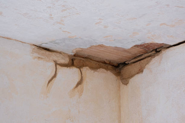 Best Water damage restoration near me  in Stock Island, FL