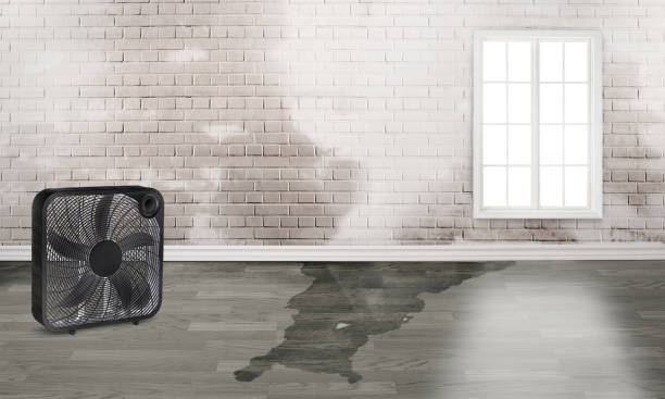 Best Residential water damage restoration  in Stock Island, FL