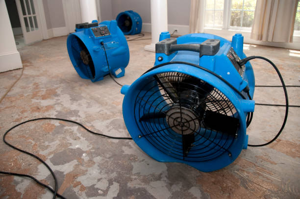 Professional Water damage restoration in Stock Island, FL