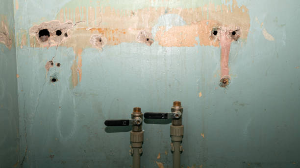 Best Water damage cleanup near me  in Stock Island, FL
