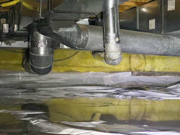 Best Flooded house restoration  in Stock Island, FL